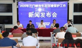 新闻爆料三门峡屠少飞,揭开背后惊人真相